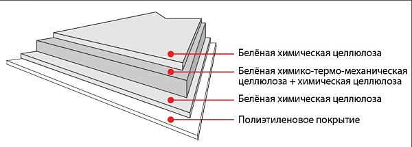 MB NATURAL FSB CUP MT 1SPE